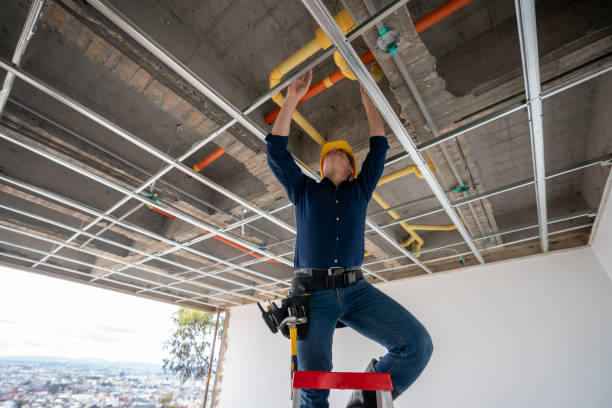 Best Plumbing Services Near Me  in Thorntown, IN